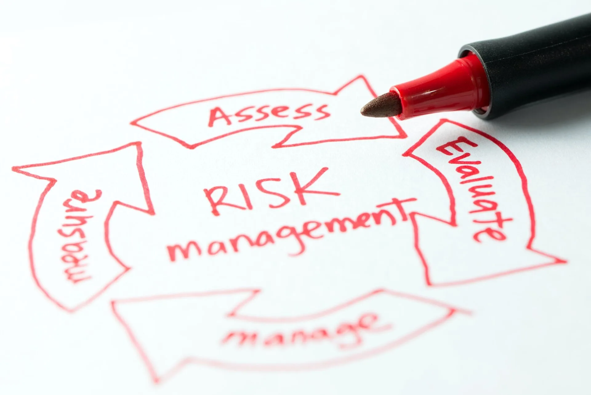 Risk management diagram