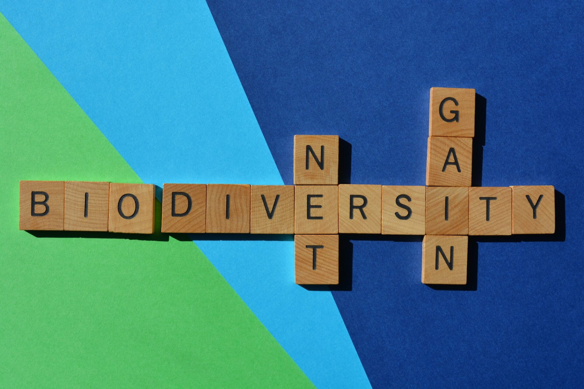Biodiversity, Net, Gain, crossword