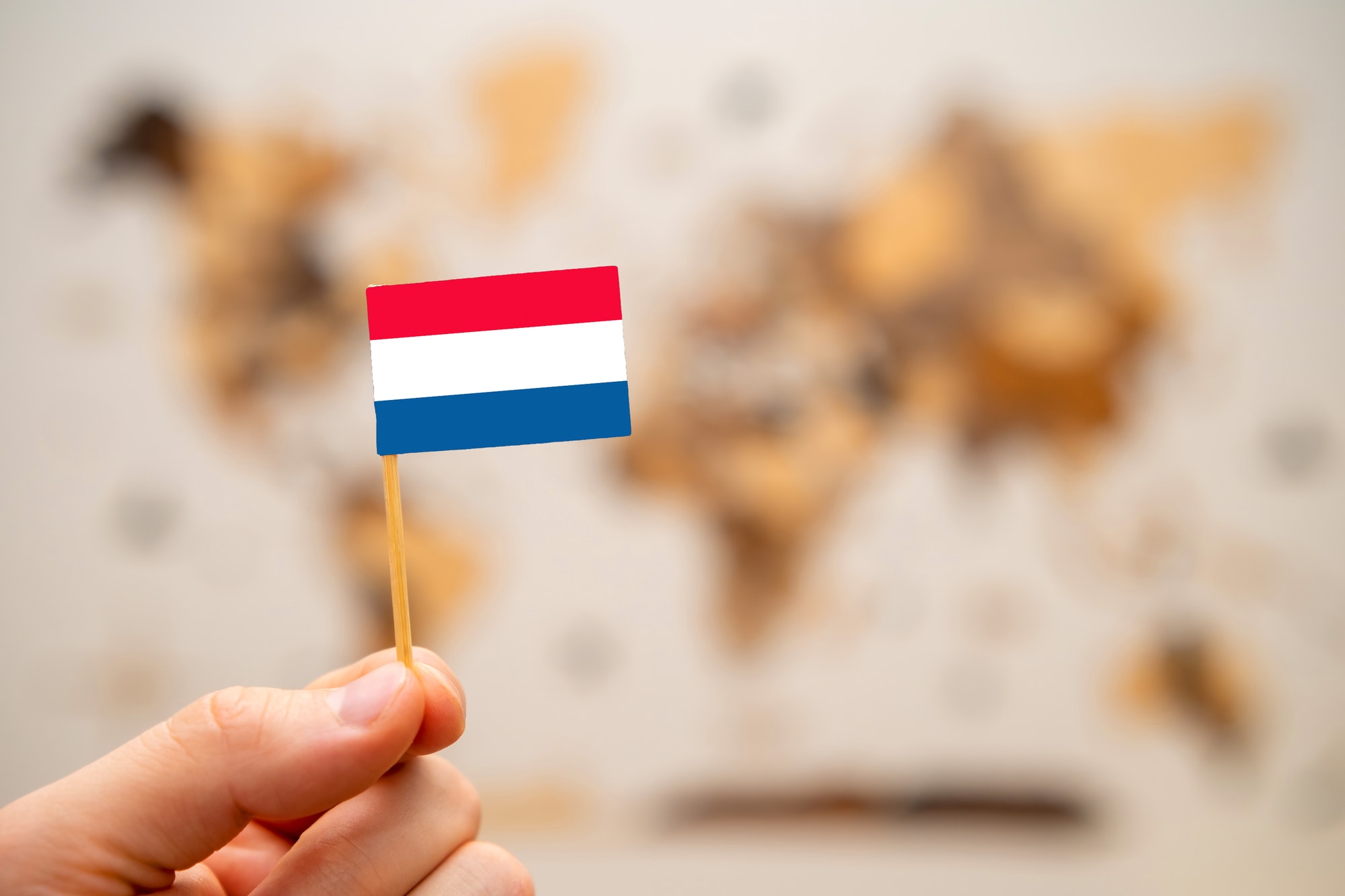 Netherlands flag in mans hand on the world map background.