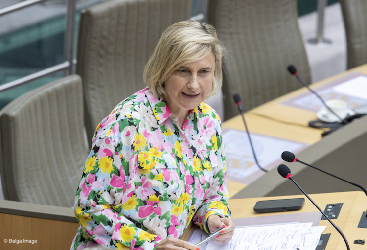 Vlaamse regering “in laatste rechte lijn” voor nieuwe regels rond consultancy